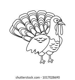 Turkey bird cartoon
