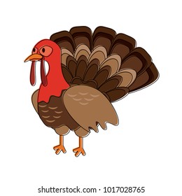 Turkey bird cartoon