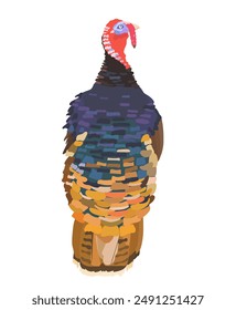 Ilustración vectorial de personaje de dibujos animados de pavo. Ganadería avícola, naturaleza salvaje animal aislado Clipart.