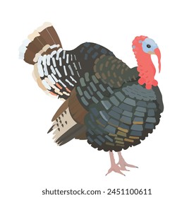 Ilustración vectorial de dibujos animados de pavo. Animales de granja, naturaleza salvaje animal aislado Clipart.