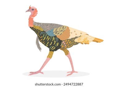 In: Turkey Bird Cartoon Vektorillustration. Nutzgeflügel, Wildtiere, isolierter Clipart.