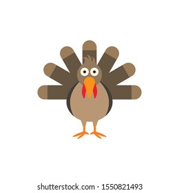 Turkey bird cartoon vector on a white background