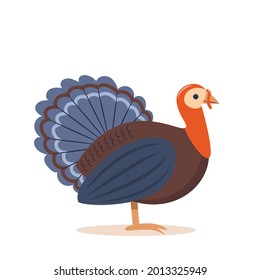 Turkey, bird. Concept design of farm animals - Turkey side view profile. Isolated turkey on white background, Vector Illustration