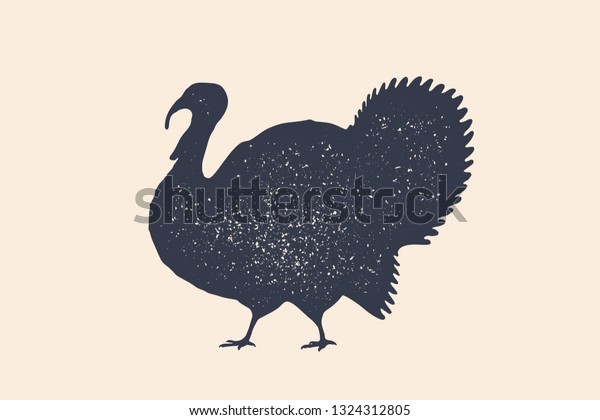 Turkey, bird.\
Concept design of farm animals - Turkey side view profile. Isolated\
black silhouette turkey on white background. Vintage retro print,\
poster, icon. Vector\
Illustration