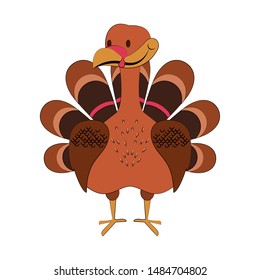 Turkey bird cute cartoon isolated vector illustration graphic design