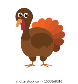 Turkey Bird, Flat, Vector Illustration