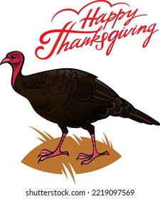 Turkey bird - Happy Thanksgiving symbol. Seasonal holiday, festive food. Isolated, white background.