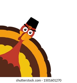 Turkey bird in hat isolated on white
