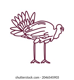 turkey bird nature icon isolated