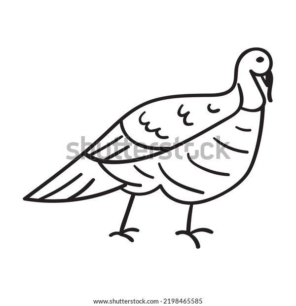 Turkey Bird Outline Icon On White Stock Vector (Royalty Free) 2198465585 Shutterstock