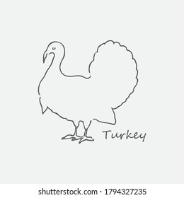 Turkey bird outline vector illustration