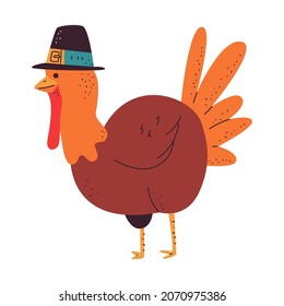 Turkey Bird In Pilgrim Hat Vector Cartoon Thanksgiving Day Illustration Isolated On A White Background.