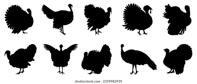 Turkey bird silhouette in black. Set of turkeys silhouette isolated for Thanksgiving Day. Turkey icons