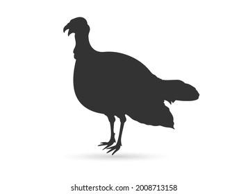 Turkey bird silhouette icon isolated on white background.