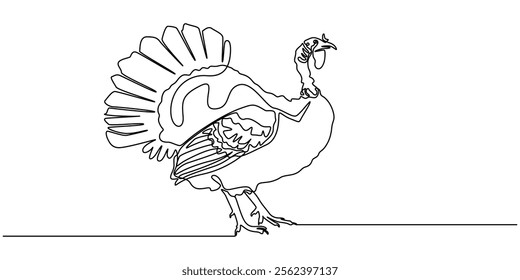 turkey bird single line drawing vector, turkey, poultry, bird one line art. Continuous line drawing of farm, nature, agriculture, farm animals, rural life, ranch, turkey in continuous line drawing.