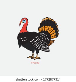 Turkey Bird symbol vector illustration