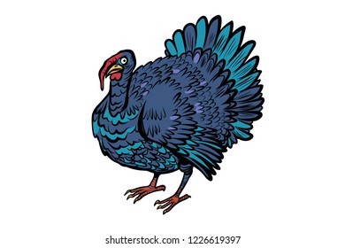 turkey bird, thanksgiving day holiday. Isolate on white background. Comic cartoon pop art retro vector illustration drawing