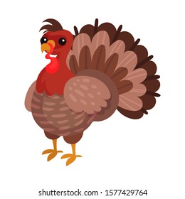 Turkey Bird as Thanksgiving Feast Symbol Vector Illustration