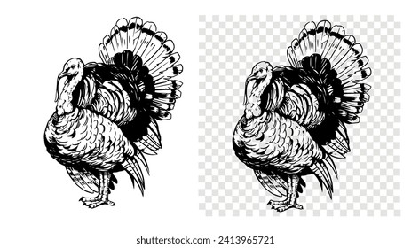 Turkey bird, vector illustration, hand drawn sketch, black outline on transparent background