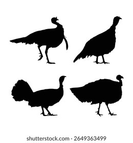 turkey birds black silhouette illustration on whtie background vol 02