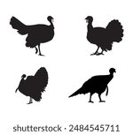 Turkey birds Silhouette vector art, graphics