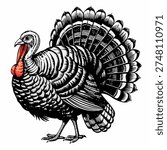 Turkey black and white isolated vector illustration in vintage engraving style with red wattle accent adds. Detailed hand drawn line art with bold contour lines on white background.