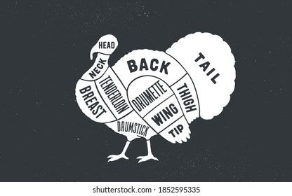 Turkey. Butcher guide scheme. Turkey Chart. Turkey silhouette, chalk, blackboard. Kitchen wall design, typography. Poster for Butchery meat shop, Restaurant menu, Vector Illustration