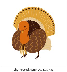 turkey cartoon cute minimalist illustration vector