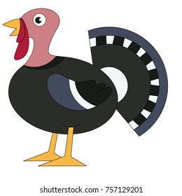 Turkey cartoon. Outlined illustration with thin line black stroke
