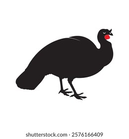 Turkey Chicken Icon Illustration Element Design
