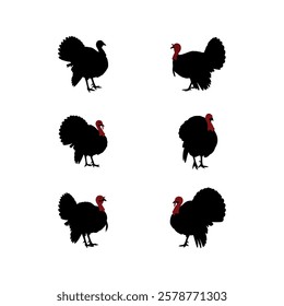 turkey chicken rooster hen poultry animal birds icon set silhouette vector art flat design illustrations