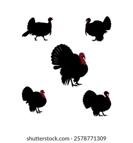 turkey chicken rooster hen poultry animal birds icon set silhouette vector art flat design illustrations