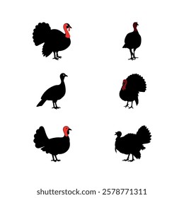 turkey chicken rooster hen poultry animal birds icon set silhouette vector art flat design illustrations