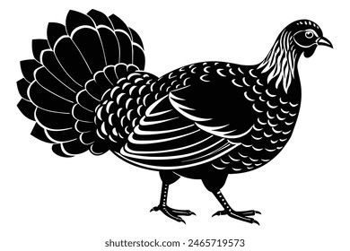 A turkey chicken  vector art illustration