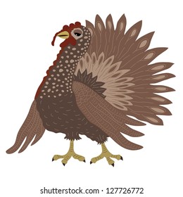 Turkey cock