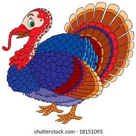 Turkey cock