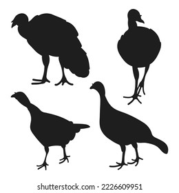 Turkey, turkey cock, gobbler, tom turkey, position standing, set poultry silhouettes hand drawn, isolated vector