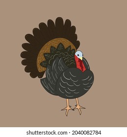 Turkey cock illustration. Good for logos, farm backgrounds, t-shirts, banners, etc.
