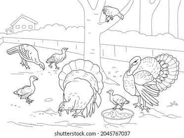 The Turkey Coloring Book. Farm.