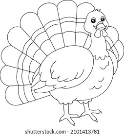 Turkey Coloring Page Isolated For Kids