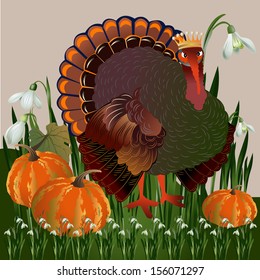 Turkey with crown, vector illustration.