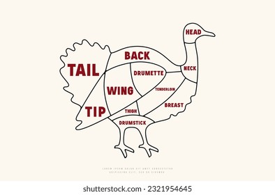 Turkey cuts diagram in thin line style. Color print on white background
