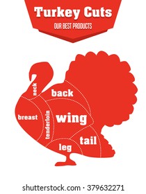 Turkey cuts infographic set of meat parts, vector illustration