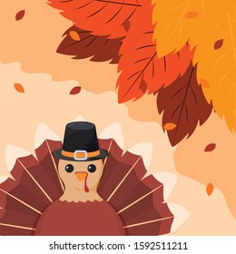 Turkey design, Autumn season nature ornament garden decoration and thanksgiving day theme Vector illustration