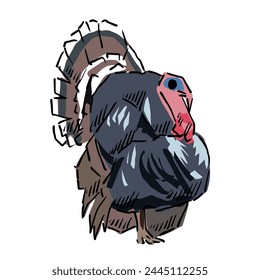 turkey drawing vector, hand drawn