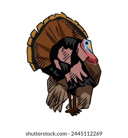 turkey drawing vector, hand drawn