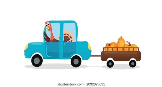 A Turkey Driving A Car With Pumpkins. Vector Cartoon Illustration.