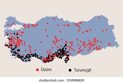 Turkey Economic Geography map - Map of agricultural products grown in Turkey