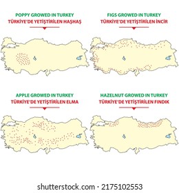 Mapa de la geografía económica de Turquía - Mapa de productos agrícolas cultivados en Turquía