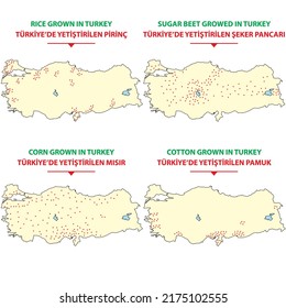 Mapa de la geografía económica de Turquía - Mapa de productos agrícolas cultivados en Turquía